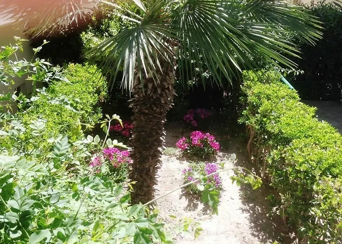 Anita 4* Ialysos (Rhodes)