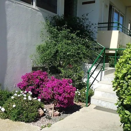 Anita 4* 伊利索斯