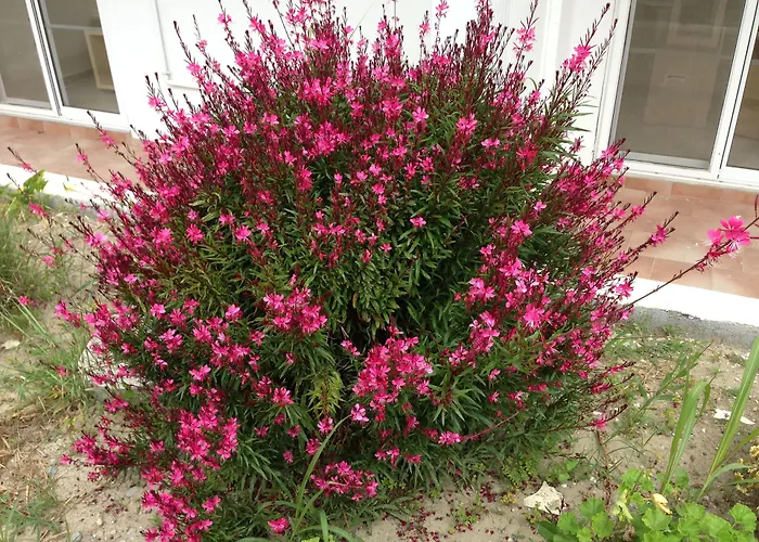 Anita Hotel apartamentowy 4*